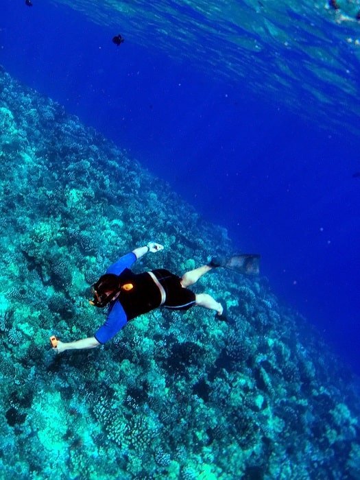 Подводная красота