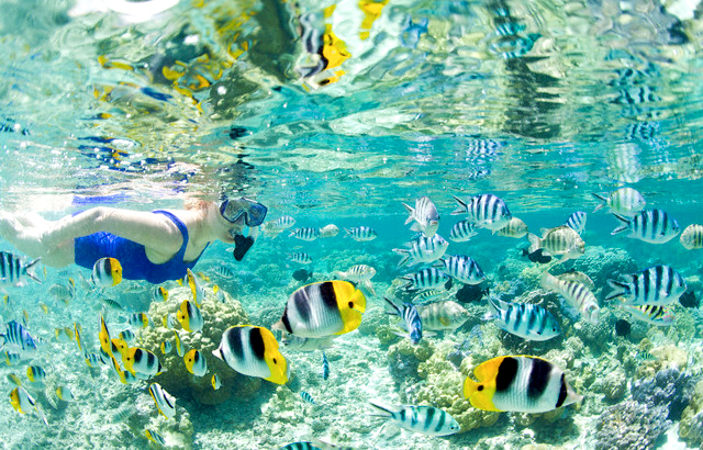 Подводное плавание