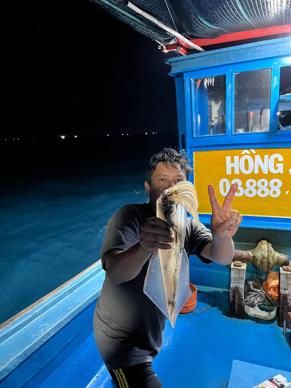 Звёздное небо над морем